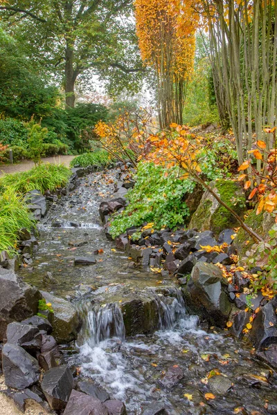 Stream Small Waterfall Ponds Japanese Garden Kaiserslautern Awe Agolden Utumn — Stock Photo, Image