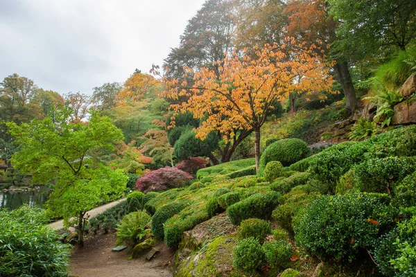 カイザースラウテルンの日本庭園の茂みや木のオレンジ色と緑を意識してください — ストック写真