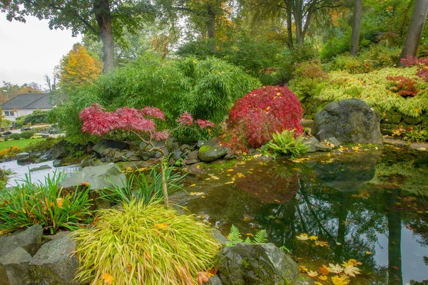 Pond Orange Colors Autumn Japanese Red Leaves All Seasons Maple — Stock Photo, Image