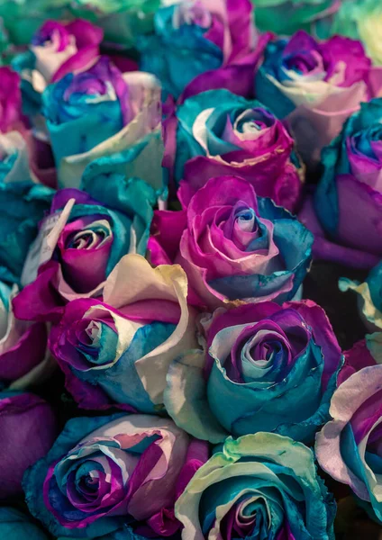 Pequeñas Rosas Color Púrpura Azul Blanco Pintadas Como Fondo Vertical — Foto de Stock