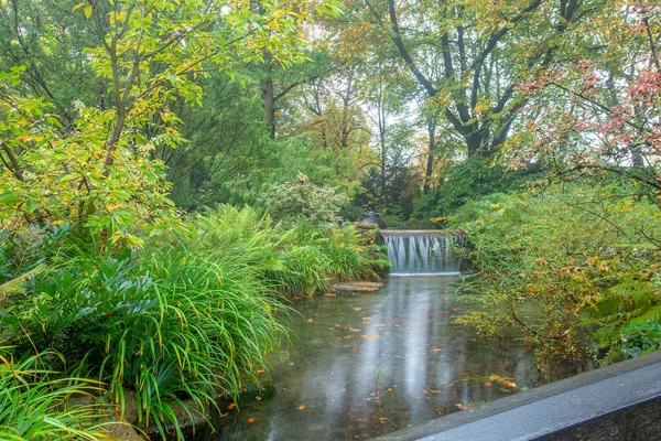 Increíble Jardín Japonés Leverkusen Otoño Arces Japoneses Linterna Piedra Con —  Fotos de Stock