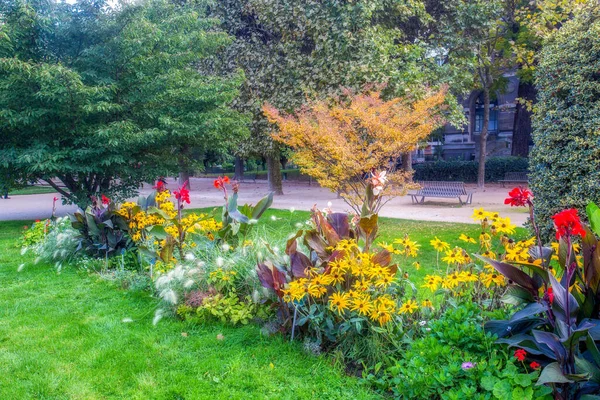 Amazing Mixborder Brifgt Flowers Garden Plants Paris Autumn France Sunny — Stock Photo, Image