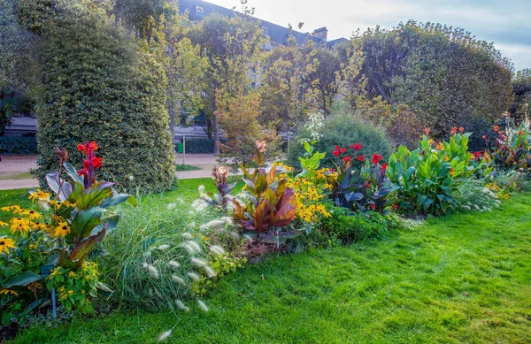 Fantastisk Mixborder Garden Plants Paris Slutet Oktober Perfekt Solig Dag — Stockfoto