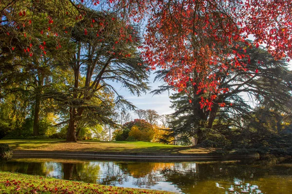 Idylliskt Landskap Domaine National Saint Cloud Vördnadsvärda Träd Och Damm — Stockfoto