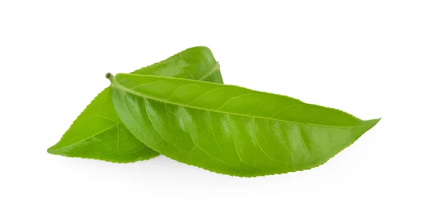 Φύλλα Πράσινου Τσαγιού Απομονωμένα Λευκό Φόντο — Φωτογραφία Αρχείου