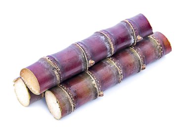 Beyaz zemin üzerine şeker kamışı