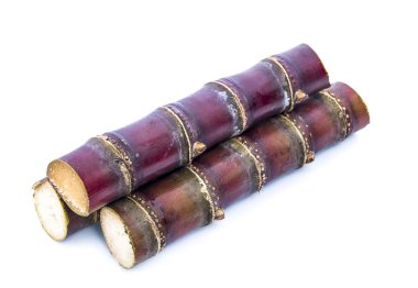 Beyaz arkaplanda izole şeker kamışı.