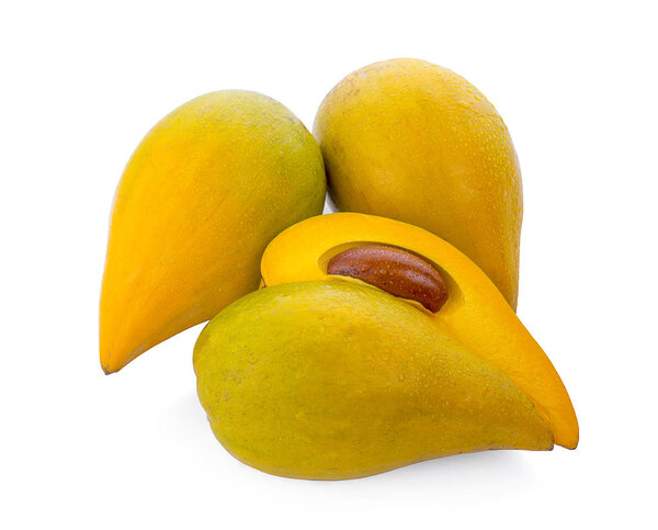 Pouteria campechiana isolated on the white background.