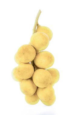 Beyaz arka plan üzerinde izole Wollongong