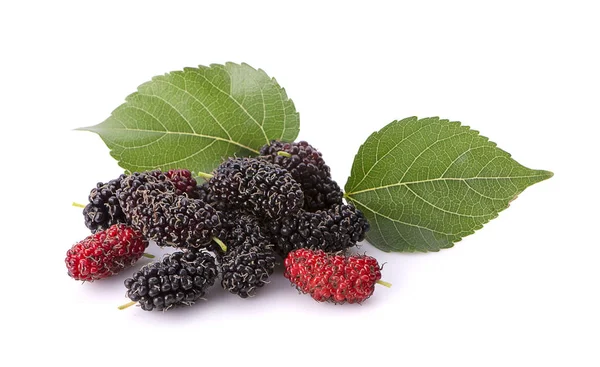 Mullbär Frukt Och Mulberry Leaf Vit Bakgrund Friska Mulberry Frukt — Stockfoto