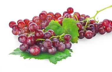 Beyaz zemin üzerinde yaprak izole kırmızı üzüm