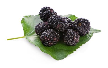 Dut Meyve ve dut yaprağı sağlıklı dut meyve gıda izole beyaz arka plan üzerinde