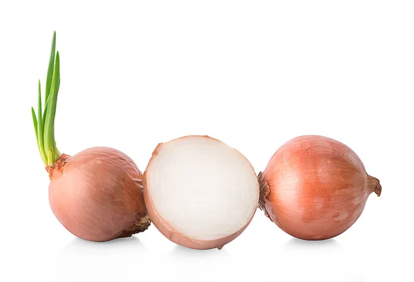 Slices Shallot Onions Cooking White Background — Stock Photo, Image