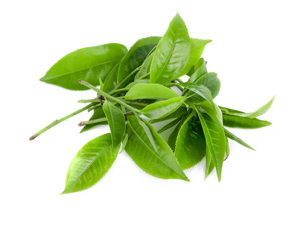 green tea leaf isolated on white background