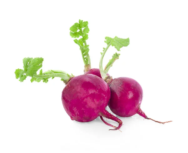 Small Garden Radish Isolated White Background — Stock Photo, Image