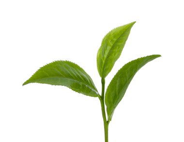 Beyaz arkaplanda izole edilmiş yeşil çay