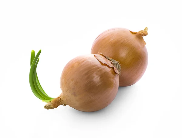 Onions Isolated White Background — Stock Photo, Image