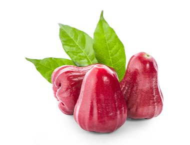 Beyaz arkaplanda gül elmaları izole