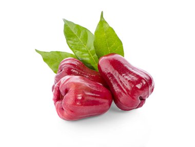 Beyaz arkaplanda gül elmaları izole.