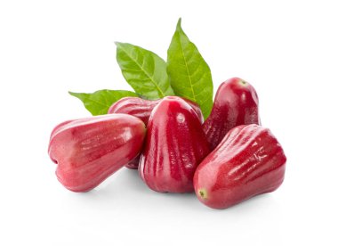 gül elması beyaz arkaplanda izole