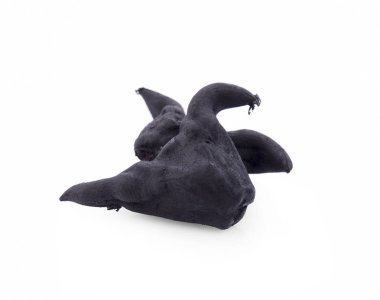 Su Caltrops, beyaz arka plan üzerinde izole Trapa natans