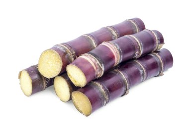 Beyaz arkaplanda izole şeker kamışı