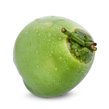 su damlası yeşil hindistan cevizi beyaz arkaplanda izole