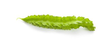 Kanatlı fasulye beyaz arkaplanda izole edildi