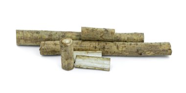 Burdock kökleri izole edilmiş beyaz arkaplan