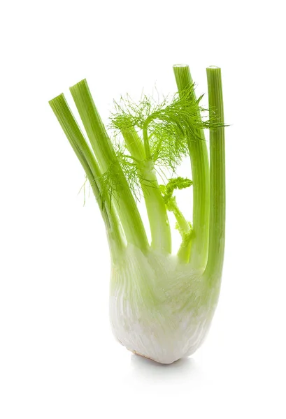 Fennel Bulbfennel Bulbs Leaves White Background — Stock Photo, Image