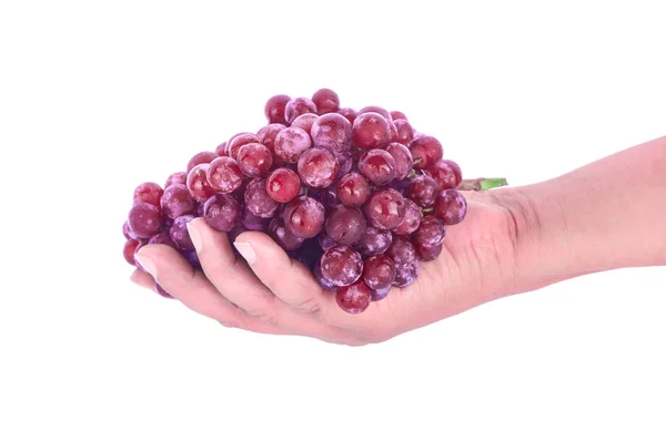 Red Grapes Hand Isolated White Background — Stock Photo, Image