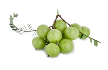 Beyaz arka planda izole edilmiş Hint Bektaşi üzümü