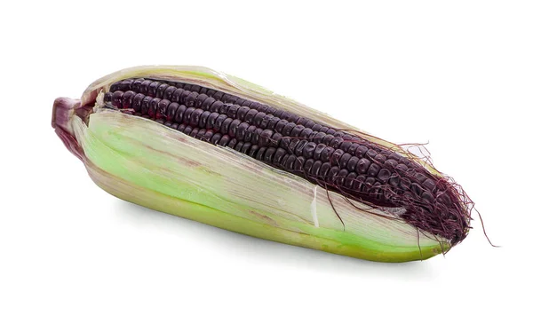在白色背景上分离的紫色玉米 — 图库照片