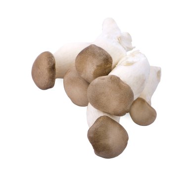 Beyaz bir arka plan üzerinde eryngii mantar veya Kral istiridye mantar 