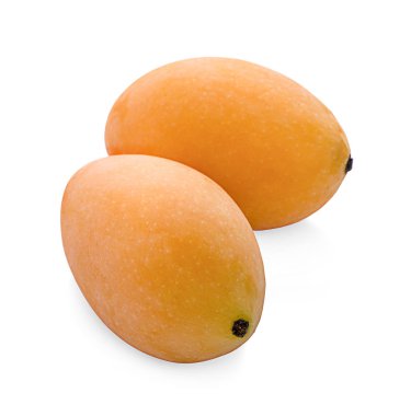 tatlı Marian eriği thai meyvesi beyaz zemin üzerinde izole (Mayongchid Maprang Marian Plum ve Plum Mango, Tayland)