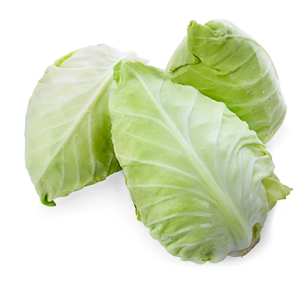 Pointed Cabbage Isolated White Background — Stock Photo, Image