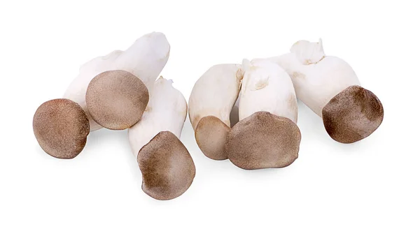 Champignon Eryngii Champignon Huître Royale Sur Fond Blanc — Photo