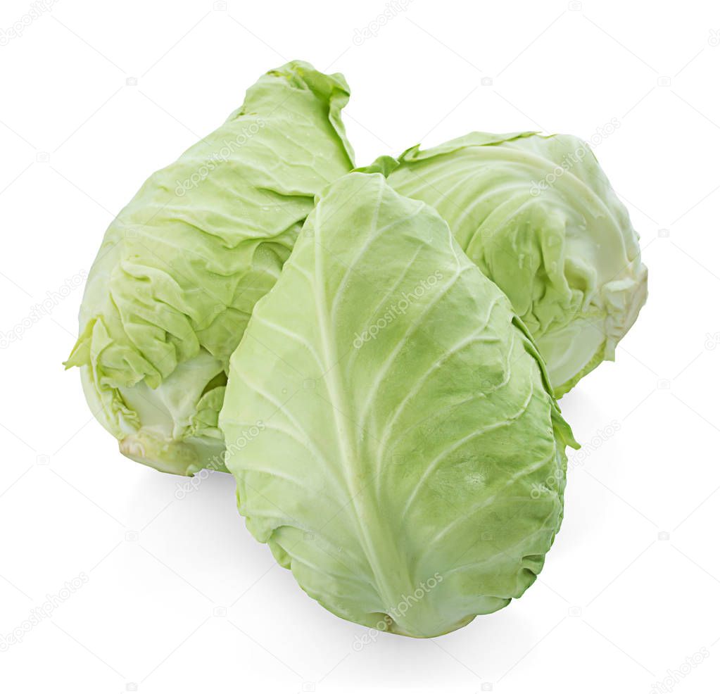 pointed cabbage isolated on white background