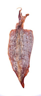 Beyaz arkaplanda kurumuş mürekkep balığı