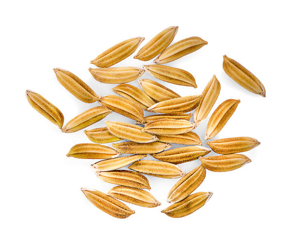 Зерно сорго на белом фоне
