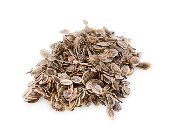 Closeup Dried Khwaen Seeds Zanthoxylum Limonella Traditional Thai Food Ingredient — Stock Photo, Image