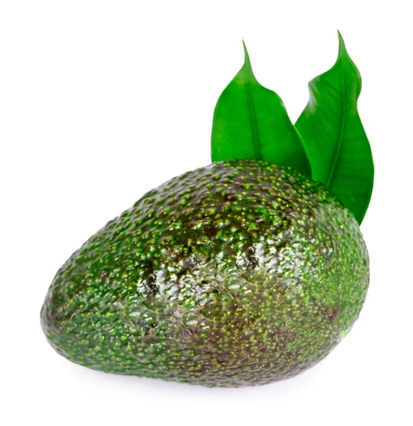 Avocado Fresco Isolato Sfondo Bianco — Foto Stock