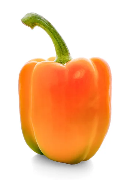 Paprika Geïsoleerd Een Witte Pagina — Stockfoto