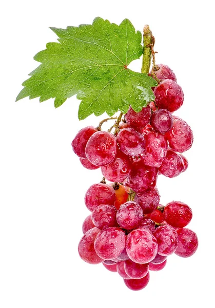 Uvas Rojas Gotas Agua Aisladas —  Fotos de Stock