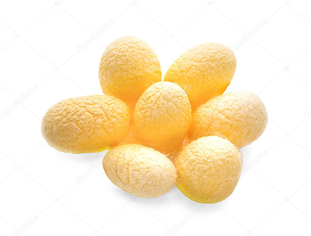 yellow thai silkworm cocoons pile isolated on white background.