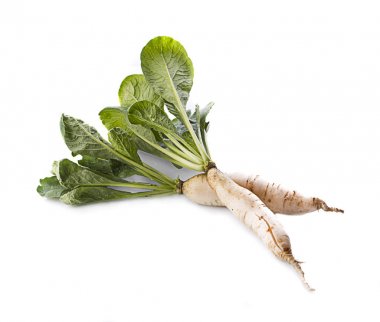 daikon turpları beyaz arkaplanda izole edilmiş