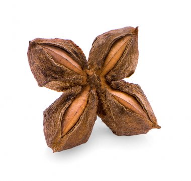 Yıldız Fasulye İnka. Beyaz arka planda kuru yıldız İnkaları fasulyesi 