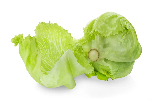 Зеленый салат Айсберг на белом — стоковое фото