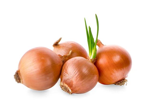 Onions isolated on white background Stock Photo