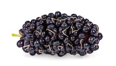 Dut beyaz arkaplanda izole edilmiş